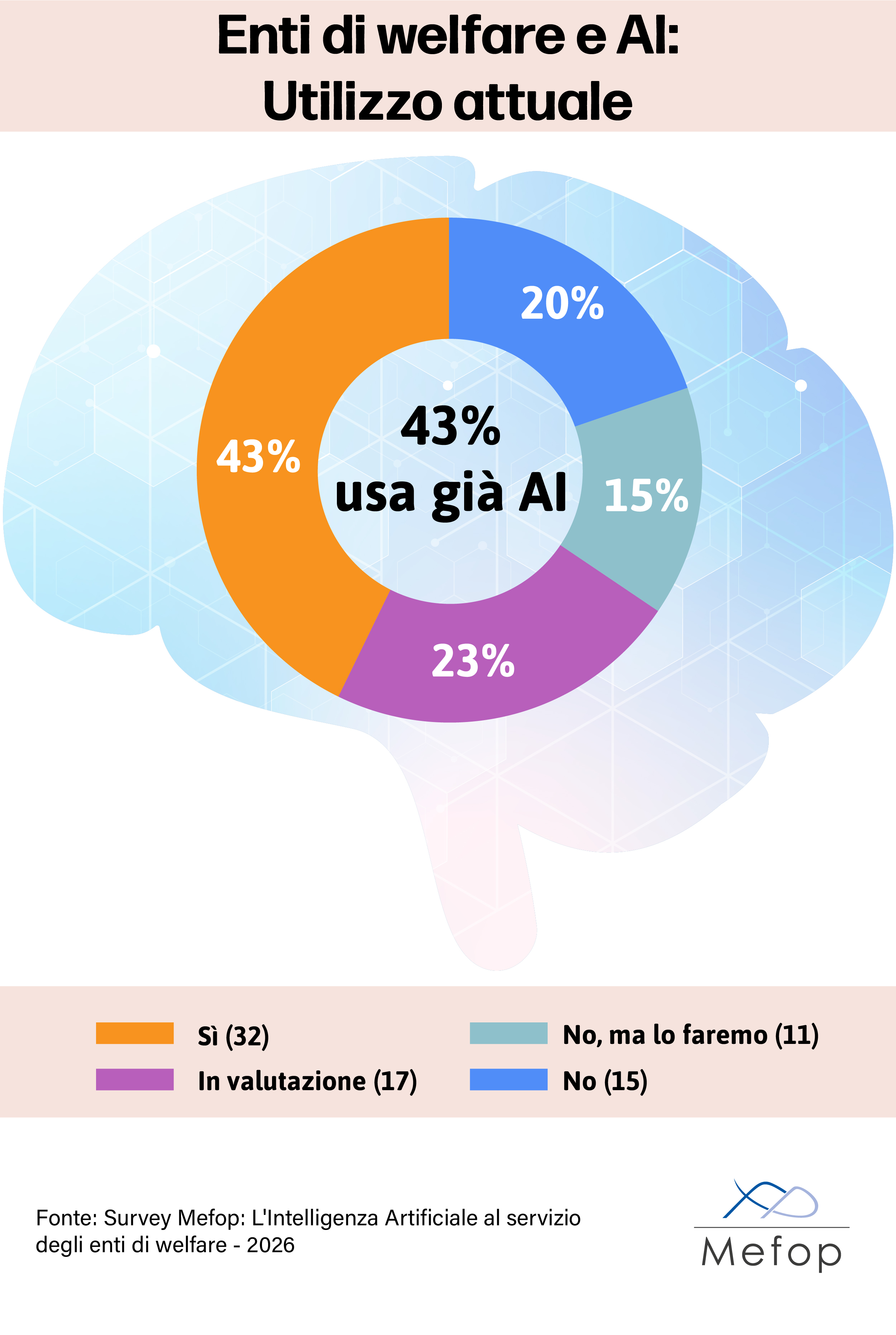 Enti di welfare e AI: Utilizzo attuale