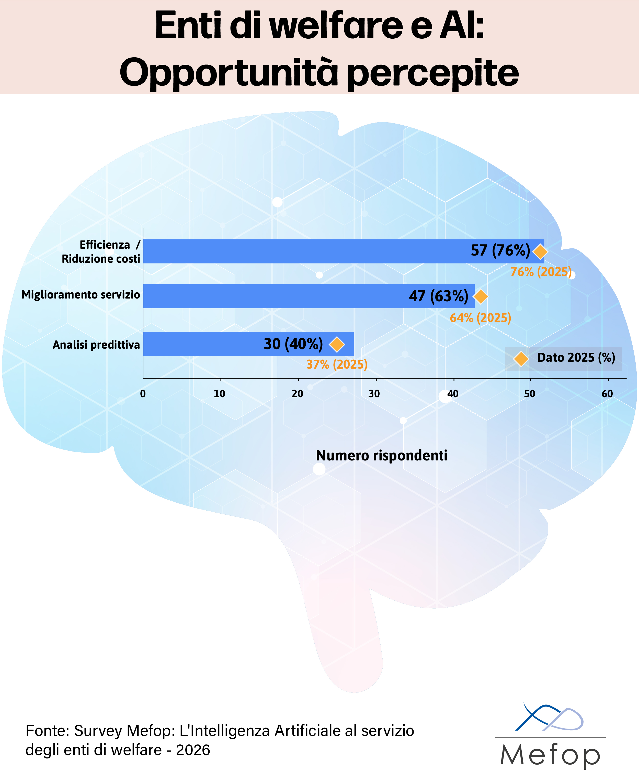 Enti di welfare e AI: Opportunità percepite